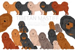 Tibetan Mastiff clipart Product Image 1
