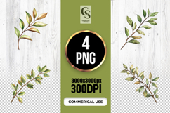 Watercolor Botanical Branch Clipart PNG Product Image 1