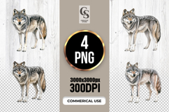 Realistic Wolf Animal Clipart Sublimation PNG Product Image 1