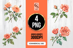 Peach Rose Floral Clipart Sublimation PNG Product Image 1
