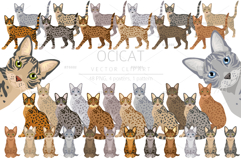 Ocicat clipart Product Image 1