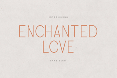 Enchanted Love Elegant Modern Sans Serif Font Product Image 1