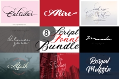8 SCRIPT FONT BUNDLE Product Image 2