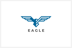 Eagle Logo Design Vector Illustration Product Image 1