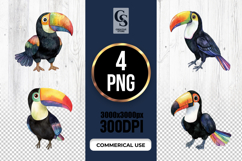 Cute Toucan Watercolor Clipart Sublimation PNG Product Image 1