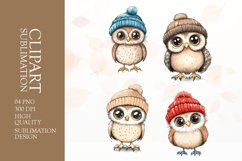 Watercolor owl clipart sublimation png Product Image 1