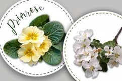 Round stickers/labels with flowers. Product Image 2