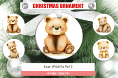 Ornament Bear Wildlife Product Image 1