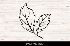 Hand Drawn Fall Leaf Pair SVG Product Image 1
