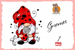 dwarf ladybug, genomes of the ladybug family png Product Image 1