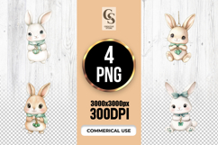 Cute Baby Bunny Scarf and Accessories PNG Product Image 1