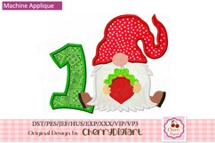 Gnome ornament Numbers machine embroidery bundle 2210Z Product Image 3