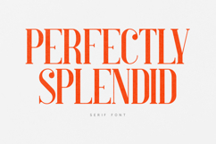 Perfectly Splendid Elegant Serif Font Product Image 1