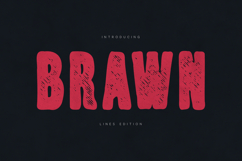 Brawn Rough Textured Display Font Product Image 1