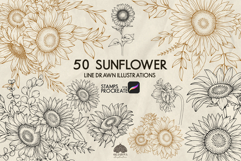 Sunflower Procreate stamp brushes Product Image 1