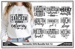 Sarcastic SVG Bundle, Sarcasm Svg Designs Product Image 1