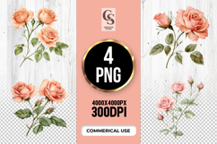 Peach Rose Botanical Flower Clipart Sublimation PNG Product Image 1