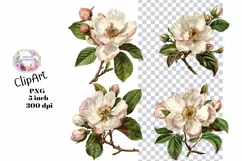 Flowers, Clipart, Ephemera, PNG, Junk journal Product Image 1