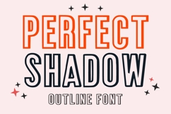 PERFECT SHADOW Product Image 1