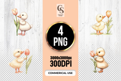 Watercolor Duckling with Tulip Clipart Sublimation PNG Product Image 1