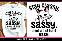 Stay classy, sassy, and a bit bad assy, Funny sarcastic SVG, Product Image 1