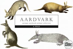 Aardvark Vintage Animal illustration Clip Art, Clipart Product Image 1