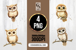 Watercolor Owl on Branch Cute Clipart Sublimation PNG Product Image 1