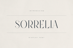 Sorrelia Elegant Display Serif Product Image 1