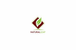 Organic leaf logo design. Natural leaf products logo design. Product Image 1