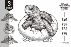 Sea Turtle Hatching from Egg Product Image 1