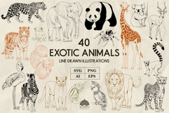 Exotic animals line art collection Svg Png Eps Ai Product Image 1