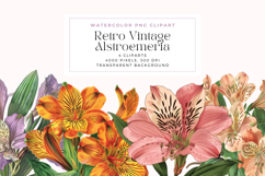 Retro Vintage Alstroemeria Flowers Clipart Product Image 1