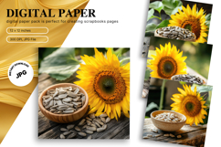 Sunflower Background Wallpaper Digital Paper Wall Art Product Image 1