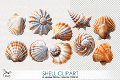 Shell clipart Product Image 1