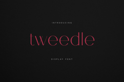 Tweedle Display Font Elegant Modern Serif for Branding Product Image 1