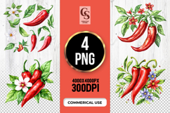 Red Chili Pepper Clipart Sublimation PNG Product Image 1