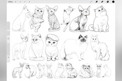 100 Procreate Cats Stamp Brushes Product Image 2