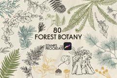 Forest Botany Procreate stamp brushes Product Image 1