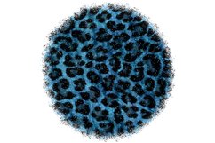 Abstract Animal Skin Sublimation Designs. Product Image 4