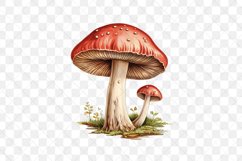 Aquarelle Pastel Mushroom Sublimation Product Image 3