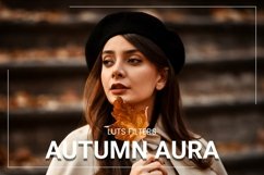 16 Autumn Aura Video LUTs Product Image 1