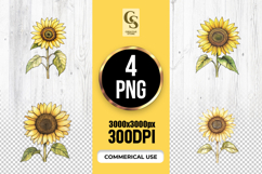 Watercolor Sunflower Floral Clipart PNG Product Image 1