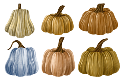 Pumpkin Set. Harvest Vegetable Autumn Illustration Product Image 1