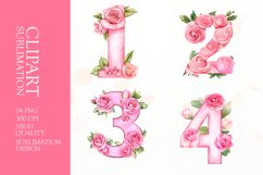 Floral numbers clipart sublimation Product Image 1