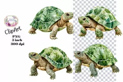 Turtles, Tropical, Ephemera, PNG, watercolor, Clipart Product Image 1