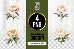 Blush Peony Watercolor Clipart Sublimation PNG Product Image 1