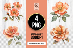 Peach Wild Rose Flower Clipart Sublimation PNG Product Image 1