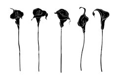 Set of silhouettes of calla flowers. Product Image 1