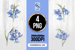 Bluebell Flower Watercolor Clipart Sublimation PNG Product Image 1