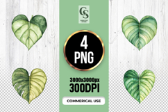 Green Heart Leaf Clipart Sublimation PNG Product Image 1